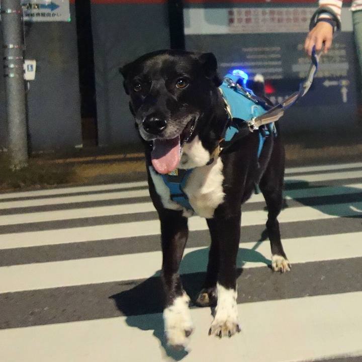 3ac3c019 c0a9 49ec 87e3 d593ccc3ff21 1699182706127