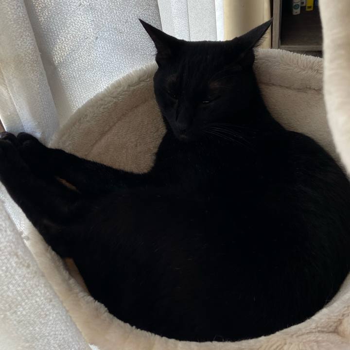 3ac3c4c0 bd96 4a27 980c d436f1dd0fdd 1764073043278