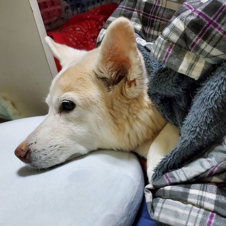 3ac3dcab c373 467f 9214 a6eea5eebbb0 1682473347913