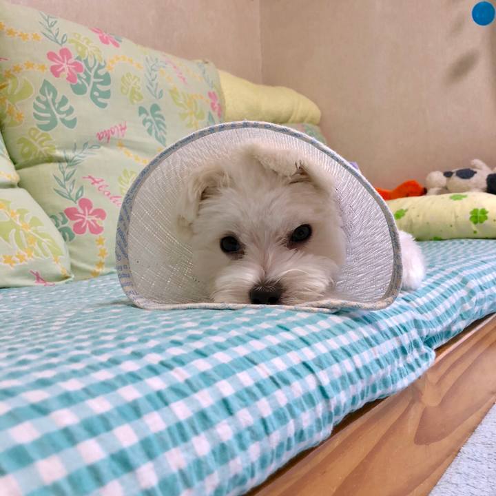 3ac3e2fd 180e 4154 89eb b6cc2ba036f7 1532249792522