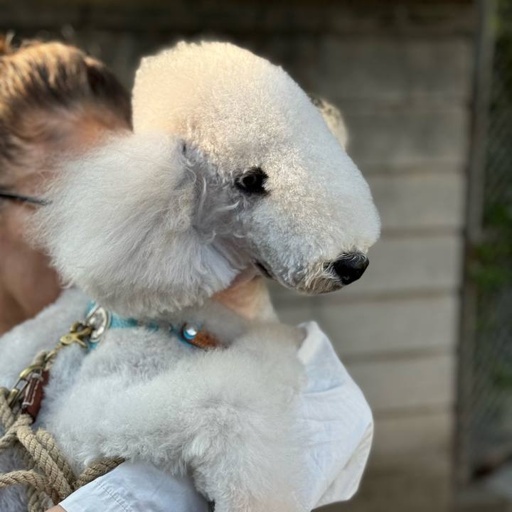 3ac3f97d 8ddc 461d 9fc7 3acb9506ca9b 1729506618801