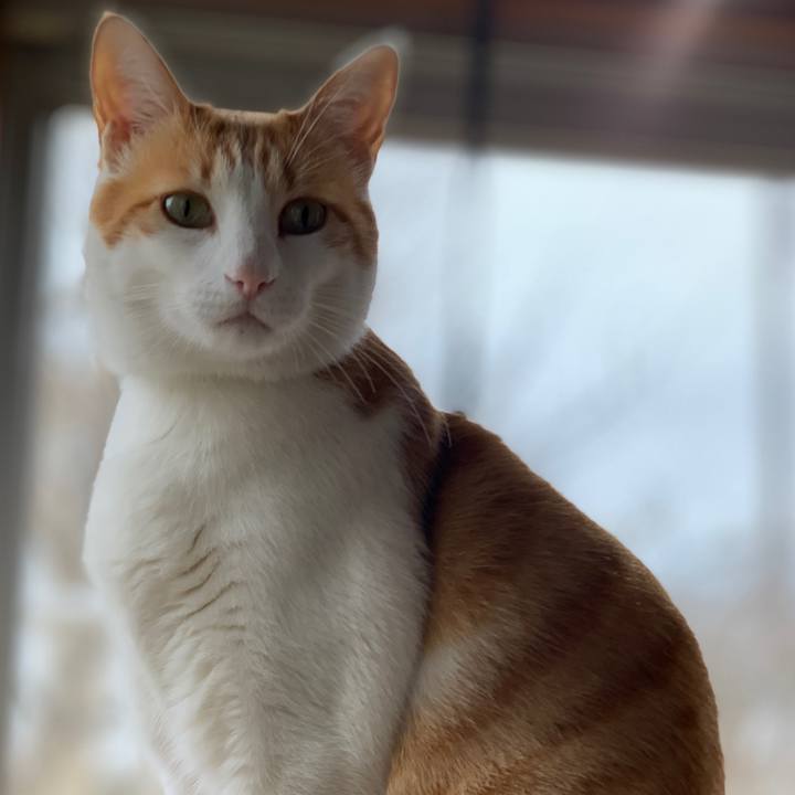 3ac405c9 52bf 4836 a862 89e2c6b79533 1580185949700