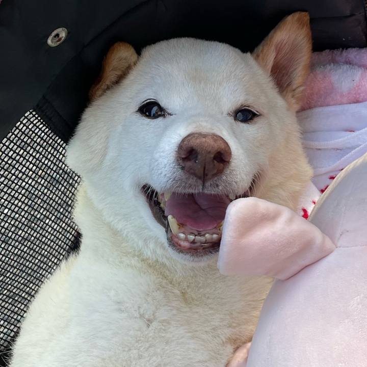 3ac42f78 ed62 4cbb 99c7 3d44e5e66c99 1667482937676