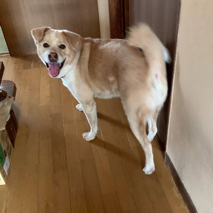 3ac46f53 ec2a 4239 b570 e9638479a116 1561424544635