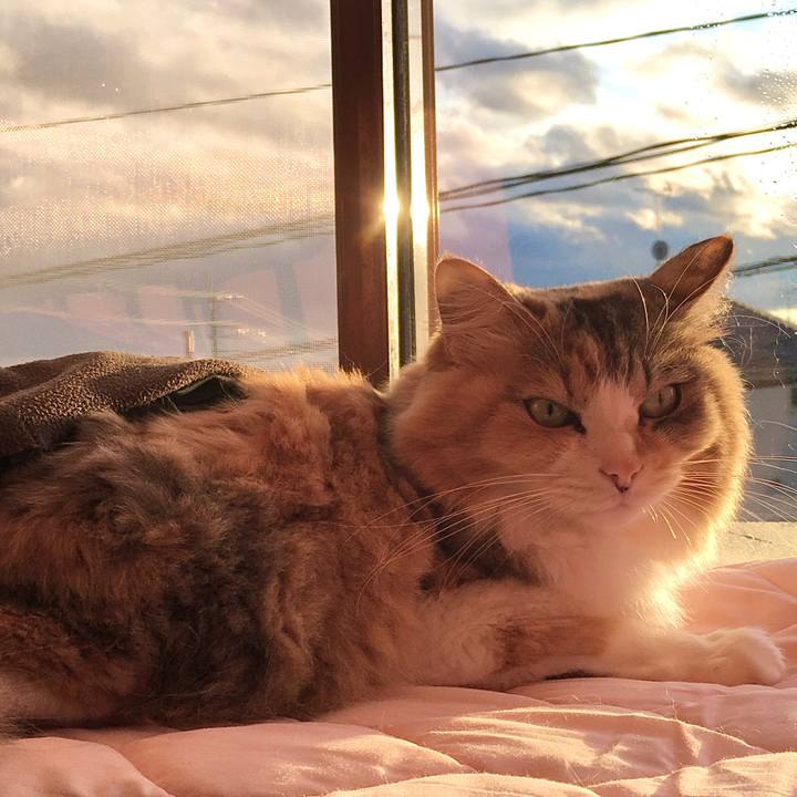 3ac4a923 e1ca 4aaf b37d 540e67c68c88 1578047181183