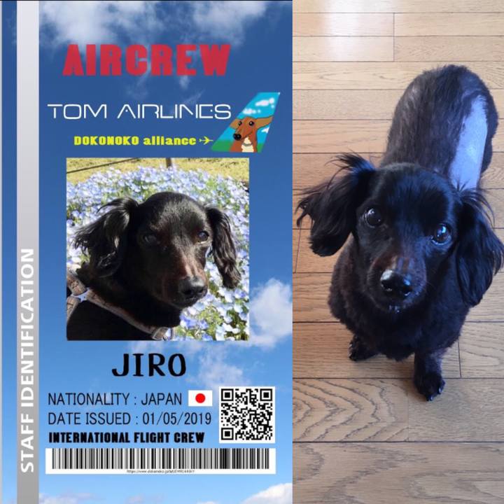 3ac4ba44 06b7 4932 b598 fddd8b4703e2 1556711888619