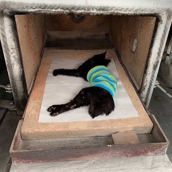 3ac4d142 450c 4591 bd62 8554e5285710 1647672629777