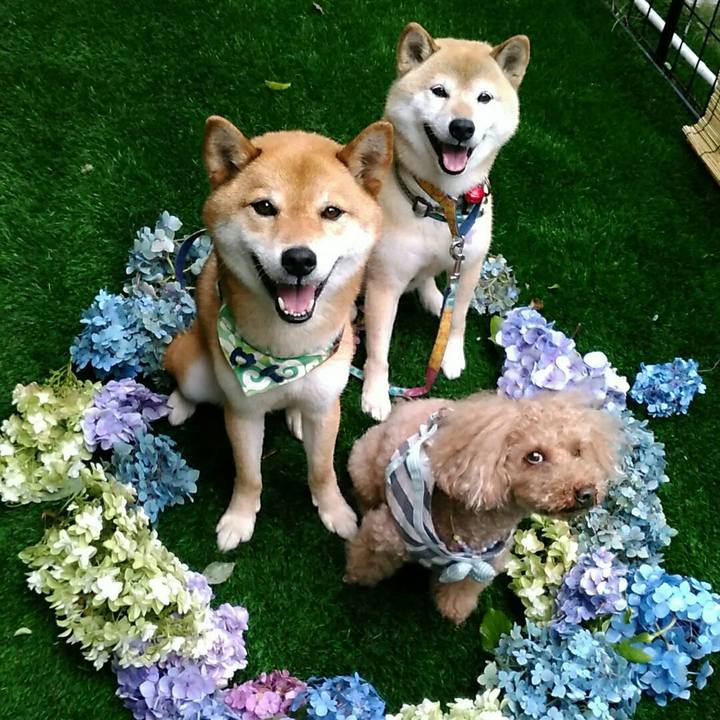 3ac4ff66 d90c 4db8 94b0 c5577fb260b4 1562315595137