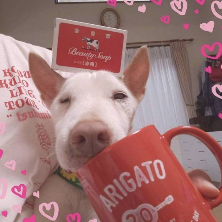 3ac54e14 a249 4608 b3a4 99c51be98ea2 1772842470681