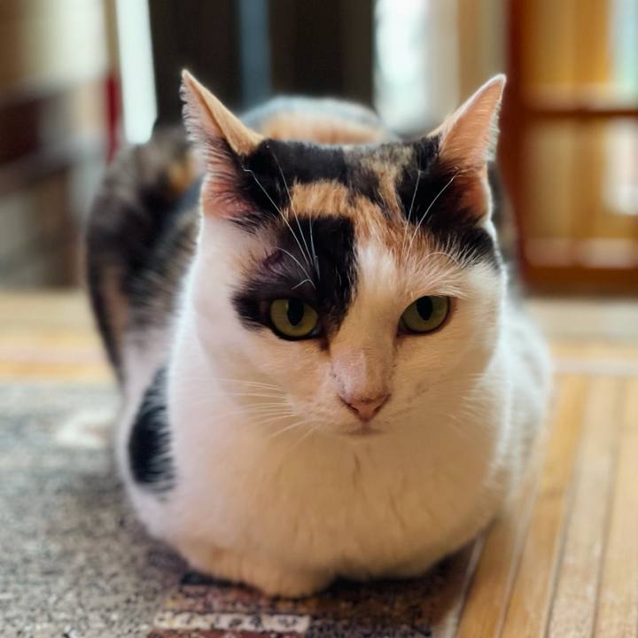 3ac55db4 fe69 4095 829b de0a04b90f71 1631156136762