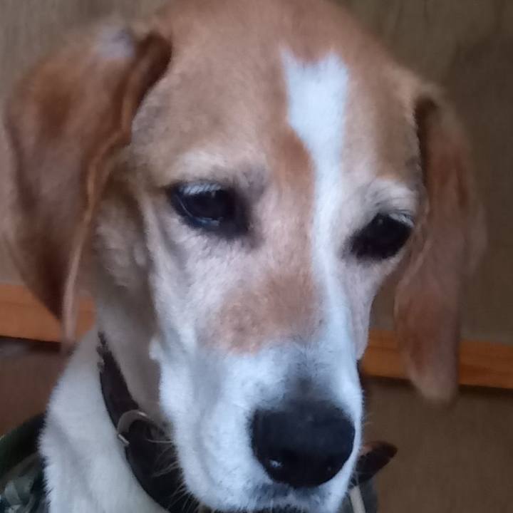 3ac56a19 dd32 4cb1 a70f fd8a892702a5 1719916689240