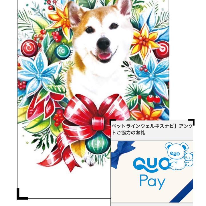 3ac56ee2 0ccc 4389 a358 b1d168aef02e 1772443041864