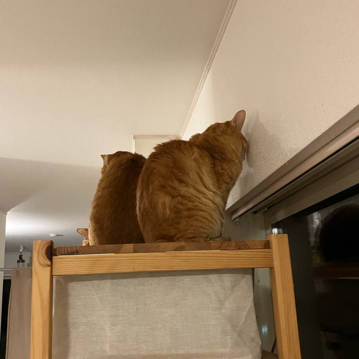 3ac594e2 2f08 48c7 a209 67287138ebc2 1768219290885