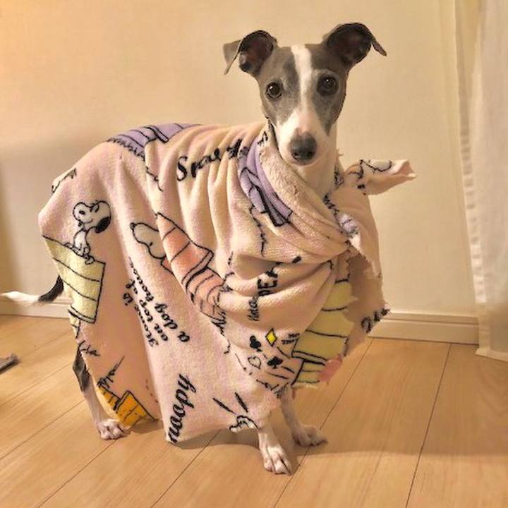 3ac5d256 4810 41c9 a21f 2e1daaebdb48 1539430421840