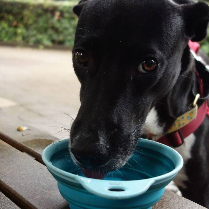 3ac5dba6 3b6a 4a63 92c8 2454ae617894 1624578429779