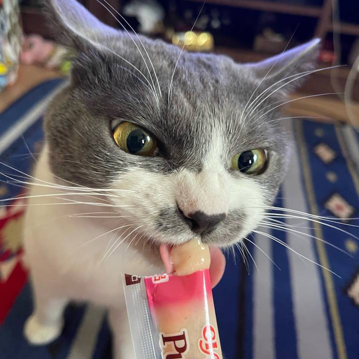 3ac5e77f af59 45dc b929 0297861a6293 1657184670303