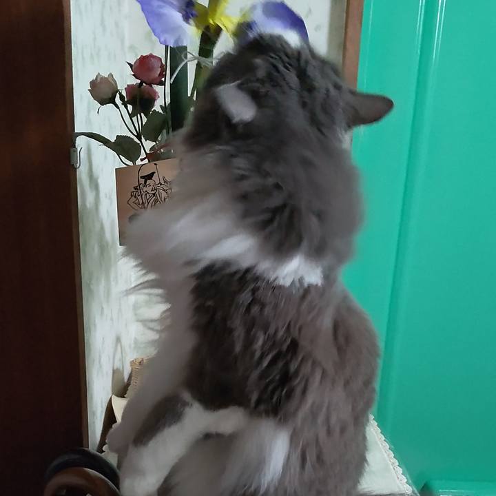 3ac5e938 7bf7 4ff4 9a35 9cad17a4d6a6 1622758701355