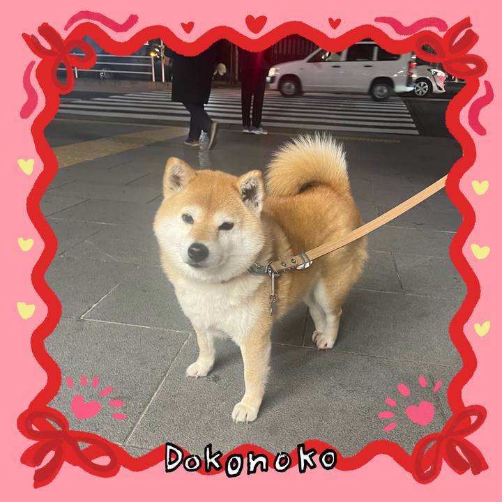 3ac5eb57 c7b1 444b affa 579bbe06a9bf 1707046479589