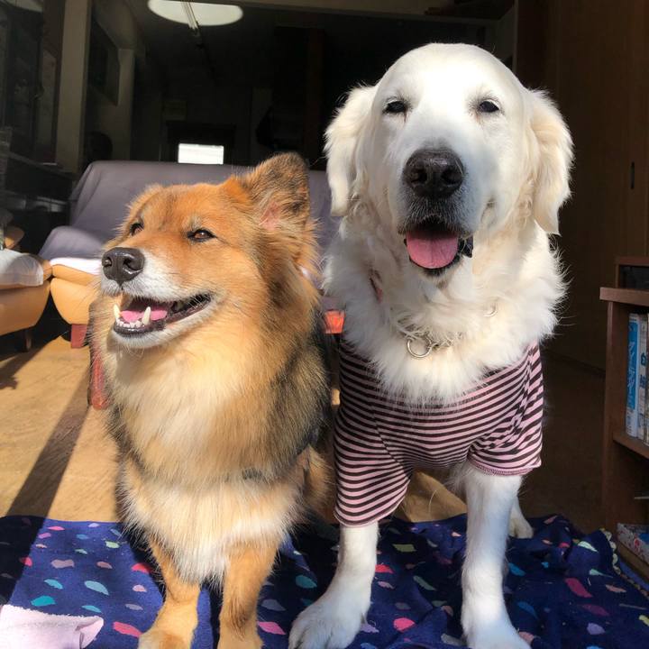 3ac603e6 ca65 48cc b26c 7367cad01428 1545195788445