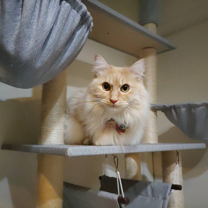 3ac61e51 08d2 48b3 83ef 9b96aab4793a 1706653586306