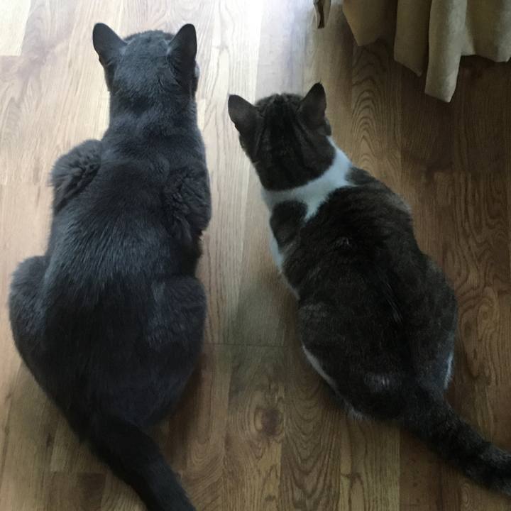 3ac61f3f 7343 4710 87c3 1aed4b2ea40a 1633653176418