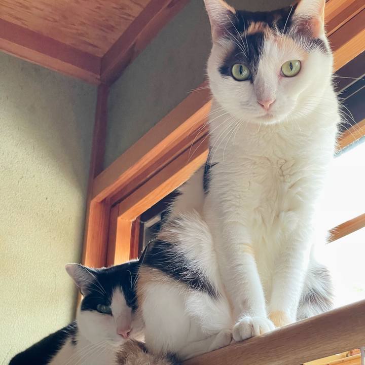 3ac63464 505f 4c46 a99b 2d637f80a731 1634264133970