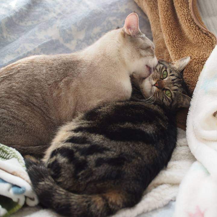 3ac64042 6695 4cc5 aca5 858d1dcb9111 1552099619891