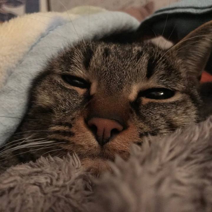 3ac658e1 eec7 4a8b 8433 745e11d41e7f 1510376991641