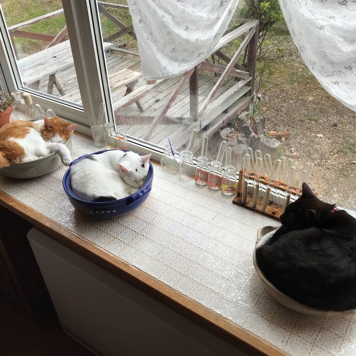 3ac676d0 adcc 4832 a23d 4f1fbda205fd 1589941838378