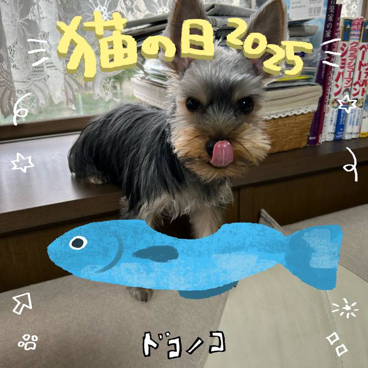 3ac6a599 242b 449f 99d5 672ef6ebf7a4 1740285875618