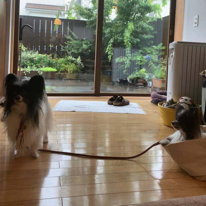 3ac6bcc0 9018 491a a23c ed1be93fa206 1625103048524