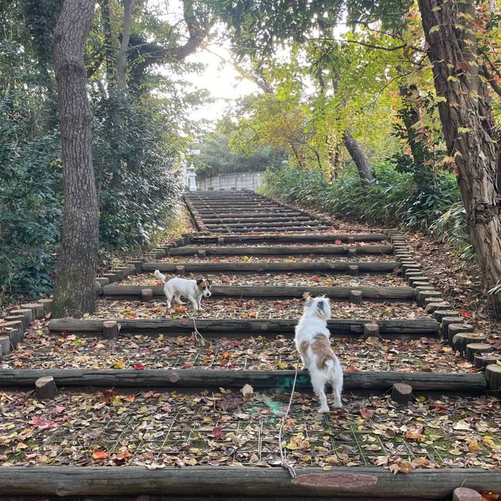 3ac6db3f 0d95 4f87 8b1d e5b671856701 1668384167361