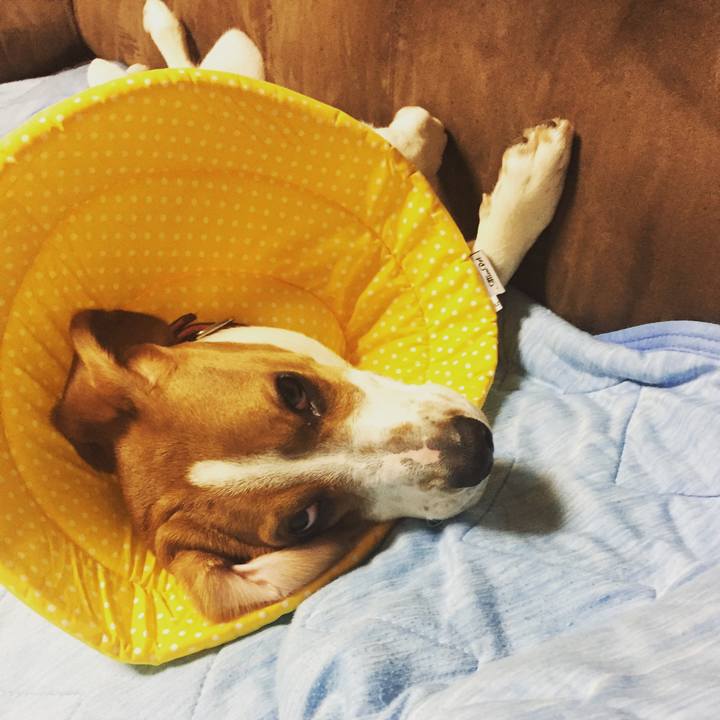 3ac6ee23 6bed 4f15 b4d2 6aeaa8527890 1524360169440