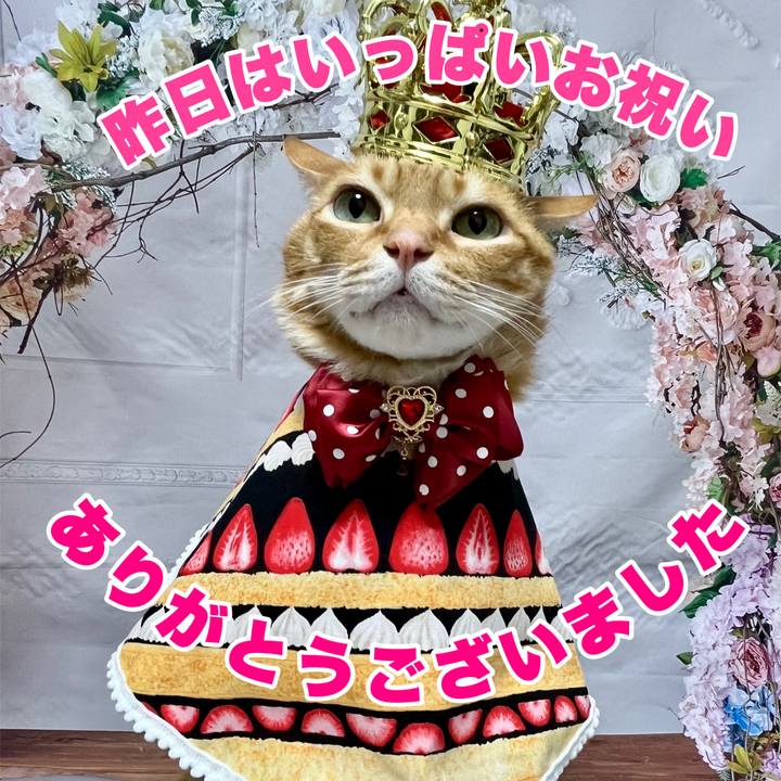 3ac6f08c 31f6 48af 8dcf a123e863b423 1748816852282