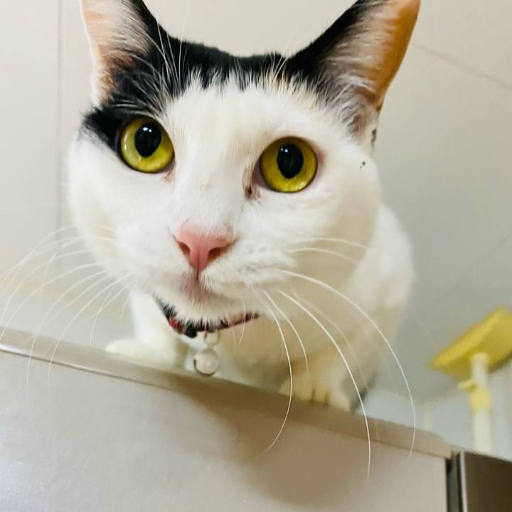 3ac73edc 5c00 41ab 81af a8e88f81b0fd 1675509902527