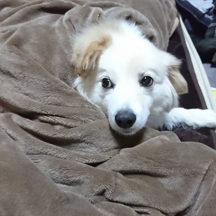 3ac7578d a78a 4dd3 bea0 b71fc0c713b6 1523023565289