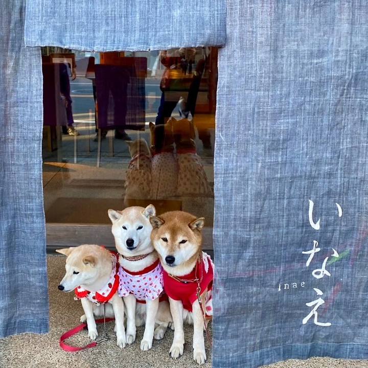 3ac7668f 1405 4a48 9327 f995bd205753 1740356984485