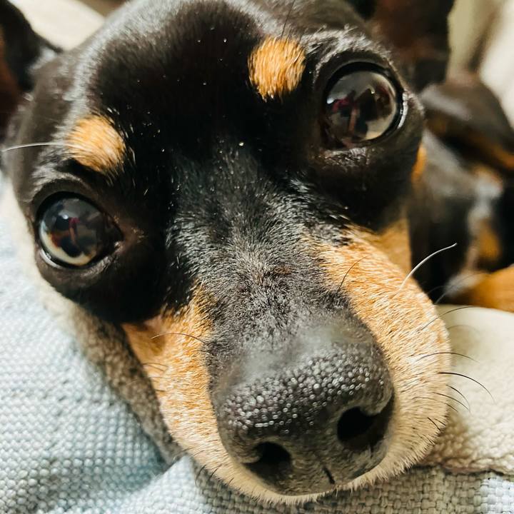 3ac78e51 76e8 481b 8f1a 914c172adf52 1765621682101