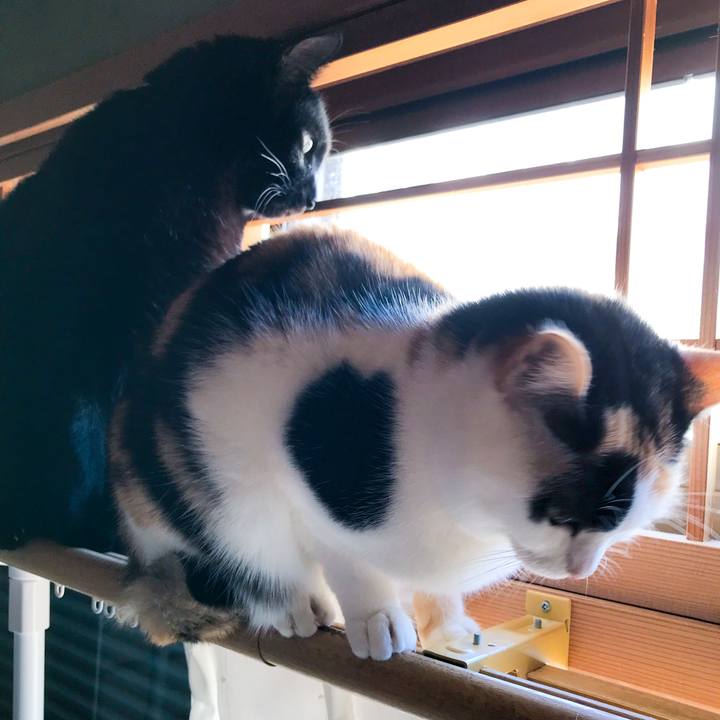 3ac798bf 7a4b 4247 bd49 162f91b6c8f6 1518826067192