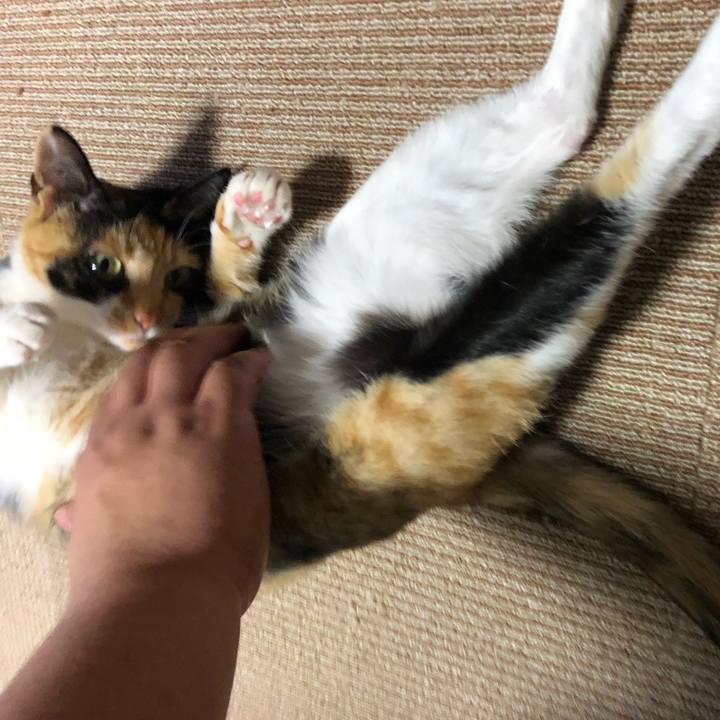 3ac7be33 5622 489d 99b7 a6164e03898d 1525354430169