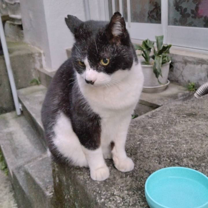 3ac7d353 7cf9 4578 93ab 9786a05705df 1700574285838