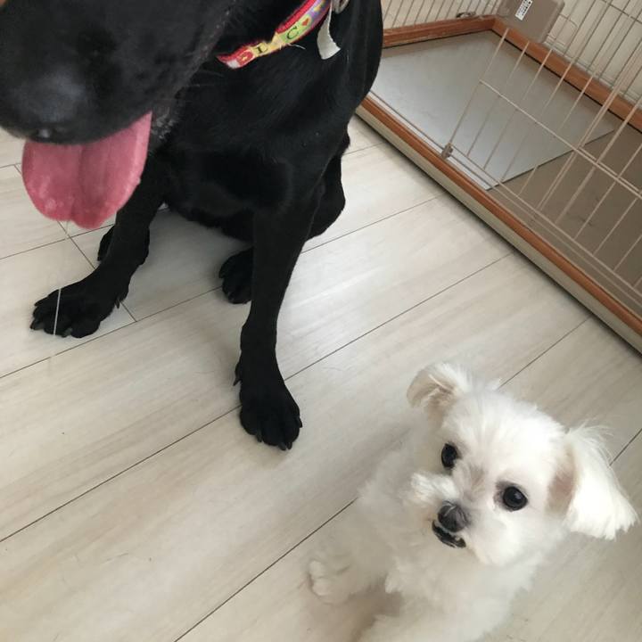 3ac85416 5251 4706 a7cf cc88d9b014f4 1535184659768