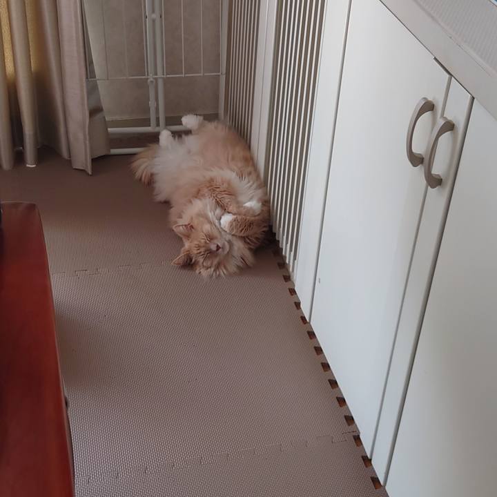 3ac85d80 32d1 4fa8 8ba5 510bc361b9c9 1651123549304