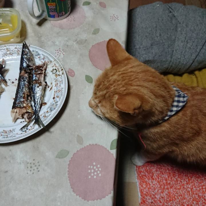 3ac8a49c e14f 485d b5f9 8a6d0fddbf04 1571954169041