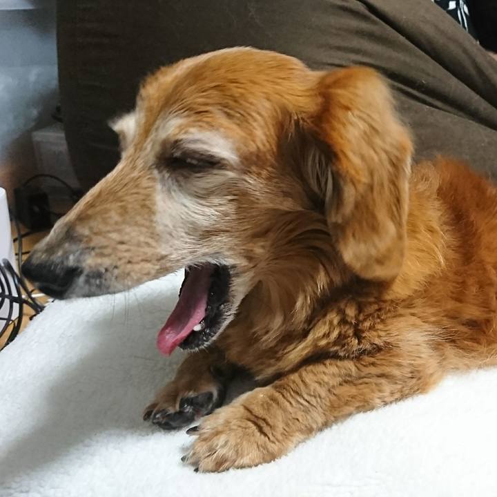 3ac8b8f2 1158 4245 884c 99bd6a50dfe8 1508733860811