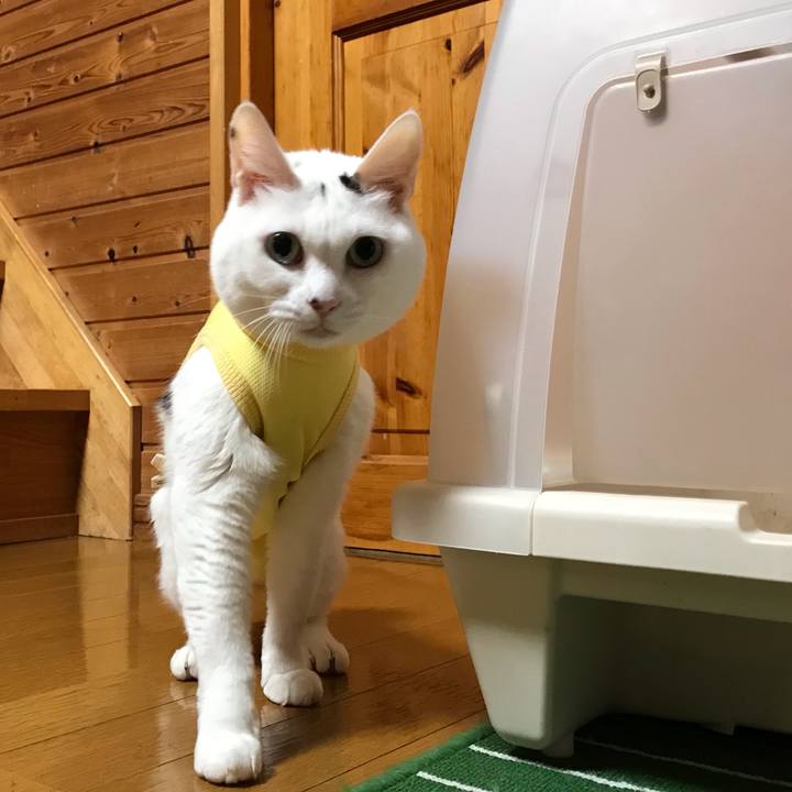 3ac8bba9 7909 4ff0 aca3 42b7a0ef12b4 1642890748453