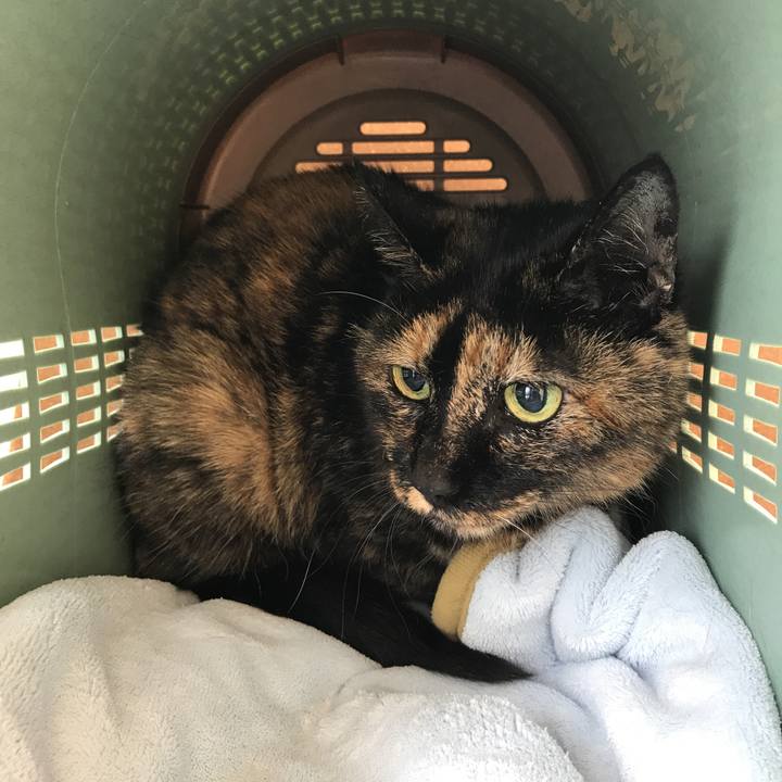 3ac8d5ef 17a9 40e8 920e 22dded6c5194 1553302273163