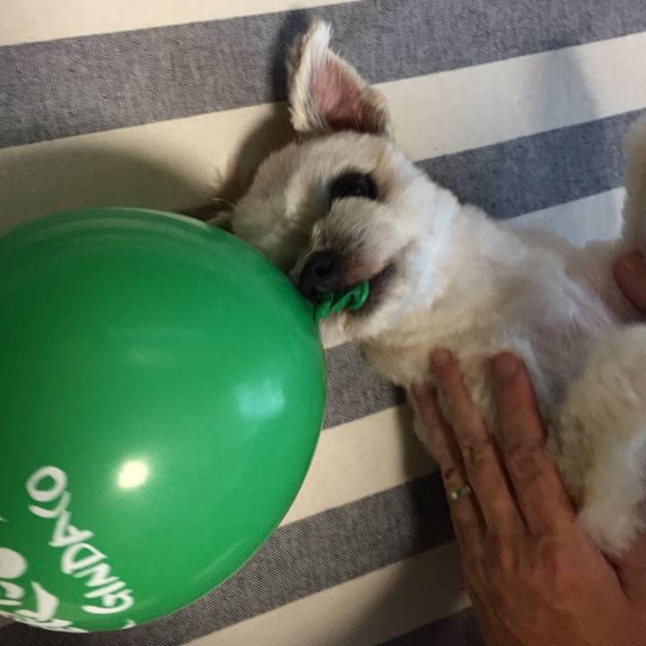 3ac911c8 bfdc 4b00 b060 d8afc670f156 1534332632988