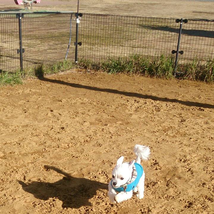 3ac92342 a73a 448f 8d1f 3166140ccaaa 1514446876118