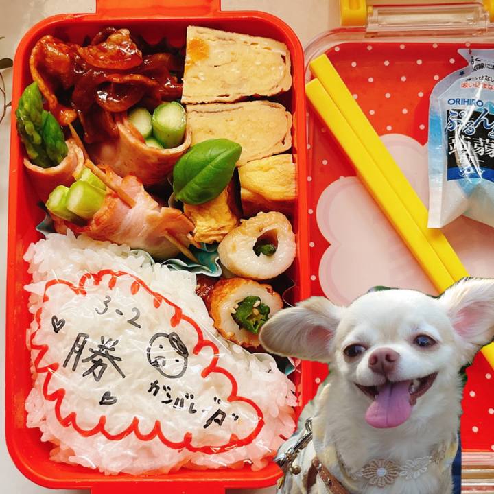 3ac93881 6a36 43ef a846 11a176040ea5 1687558470527